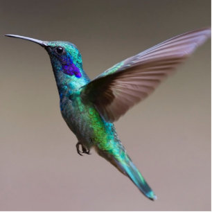 Flying Blue & Green Bird Sculpure Standing Photo Sculpture