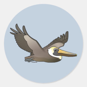 Flying Brown Pelican Classic Round Sticker