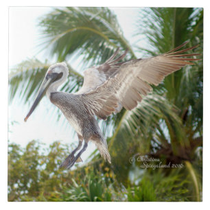 Flying Brown Pelican Landing Tile
