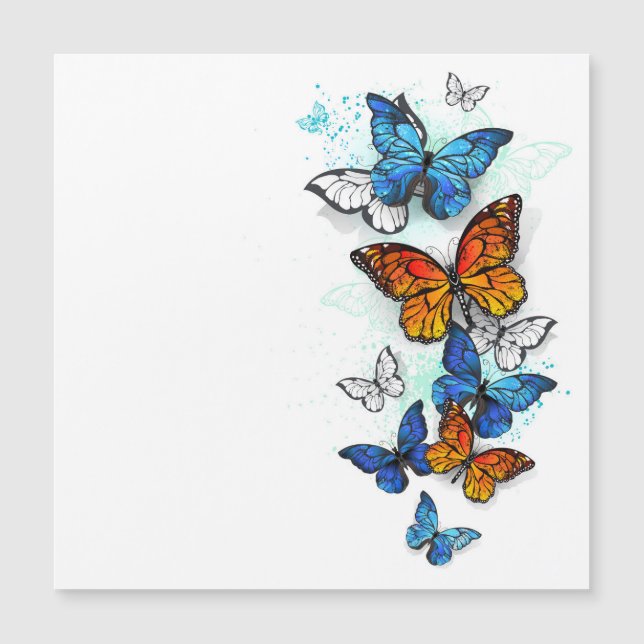 Flying Butterflies Morpho and Monarch (Front)