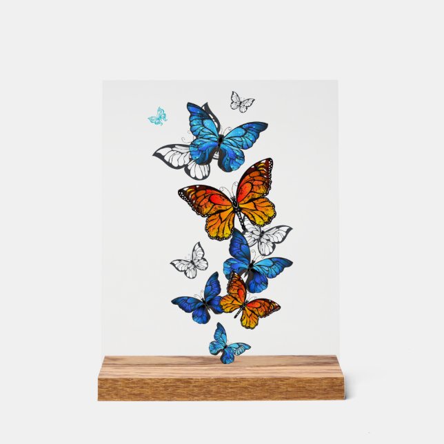 Flying Butterflies Morpho and Monarch Acrylic Sign (Front)