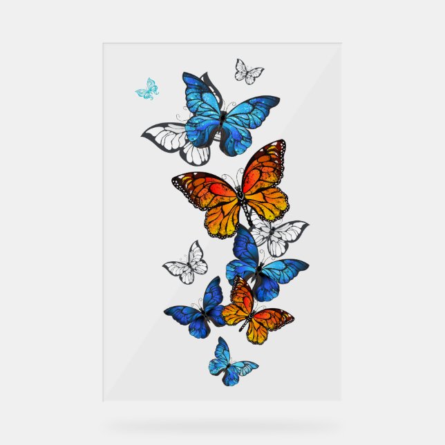 Flying Butterflies Morpho and Monarch Acrylic Sign (Front)