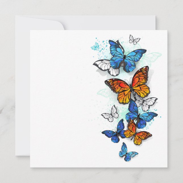 Flying Butterflies Morpho and Monarch Announcement (Front)