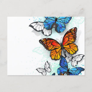 Flying Butterflies Morpho and Monarch Announcement Postcard