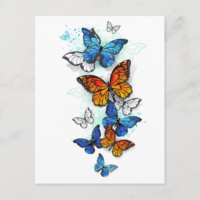 Flying Butterflies Morpho and Monarch Enclosure Card (Front)
