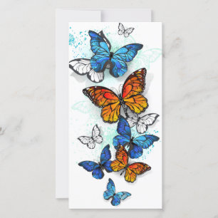 Flying Butterflies Morpho and Monarch Holiday Card