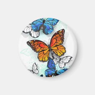 Flying Butterflies Morpho and Monarch Magnet
