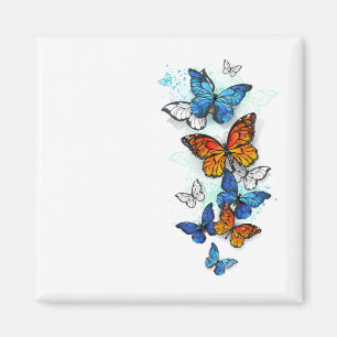 Flying Butterflies Morpho and Monarch Magnet
