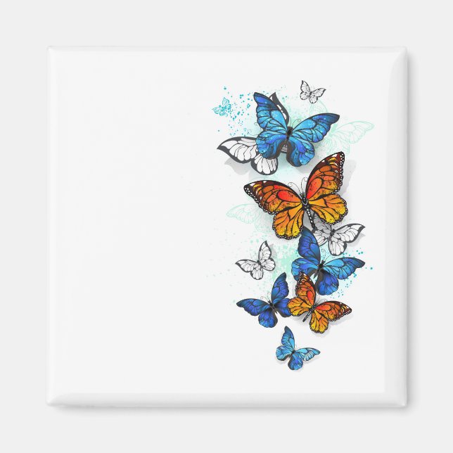 Flying Butterflies Morpho and Monarch Magnet (Front)