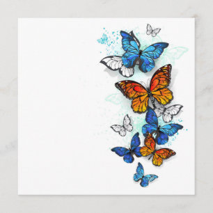 Flying Butterflies Morpho and Monarch Menu