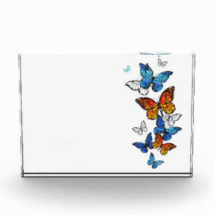 Flying Butterflies Morpho and Monarch Photo Block