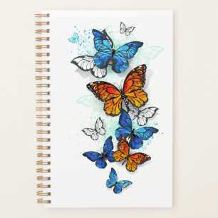 Flying Butterflies Morpho and Monarch Planner