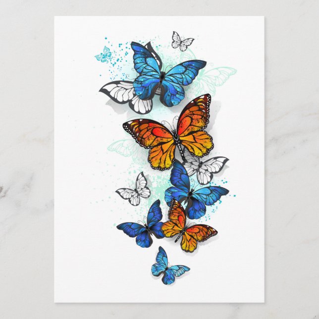 Flying Butterflies Morpho and Monarch Programme (Front)