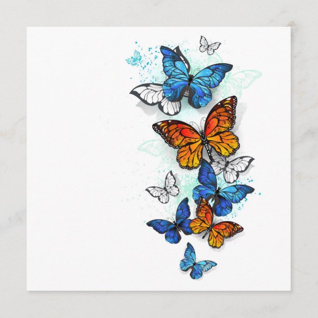 Flying Butterflies Morpho and Monarch Programme (Front)