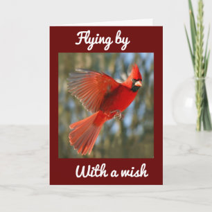 **FLYING BY TO SAY** BIRTHDAY *BEST ON EVER* CARD