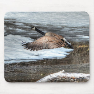 Flying Canada Goose, Pond & Snow Wildlife Photo Mouse Mat