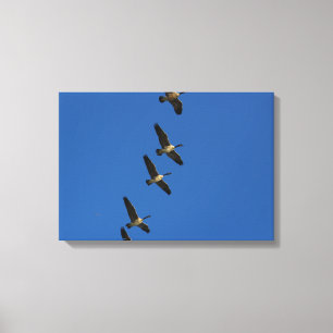 Flying Canvas Print