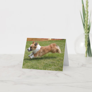 Flying Cardigan Welsh Corgi Card