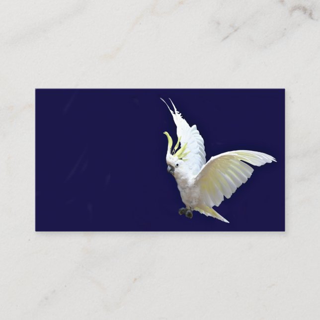 Flying cockatiel business card (Front)