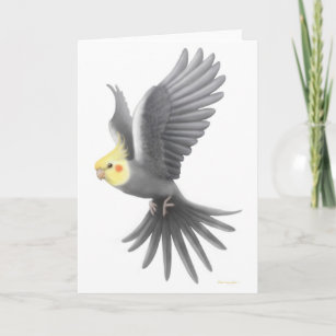 Flying Cockatiel Card