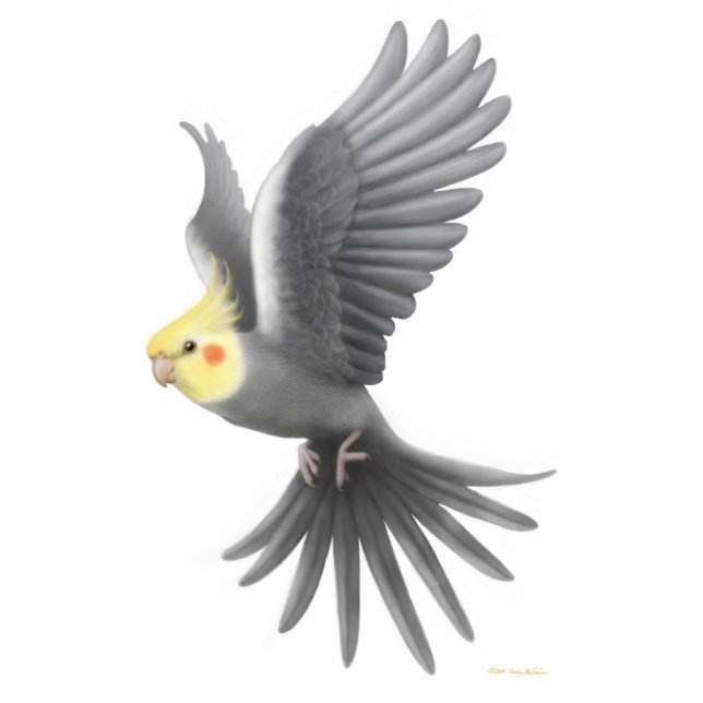 Flying Cockatiel Holiday Ornament Photo Sculpture Decoration (Front)
