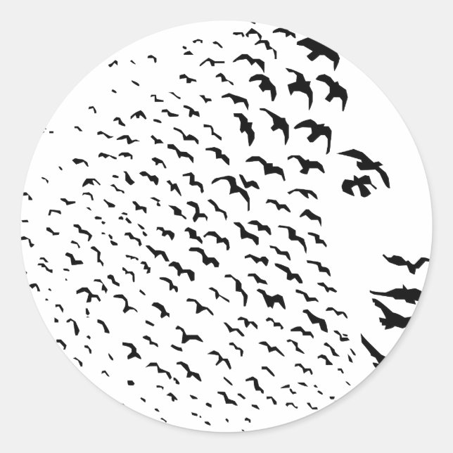 Flying Crows or Face Optical Illusion Classic Round Sticker (Front)