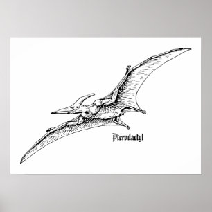 Flying dinosaur poster