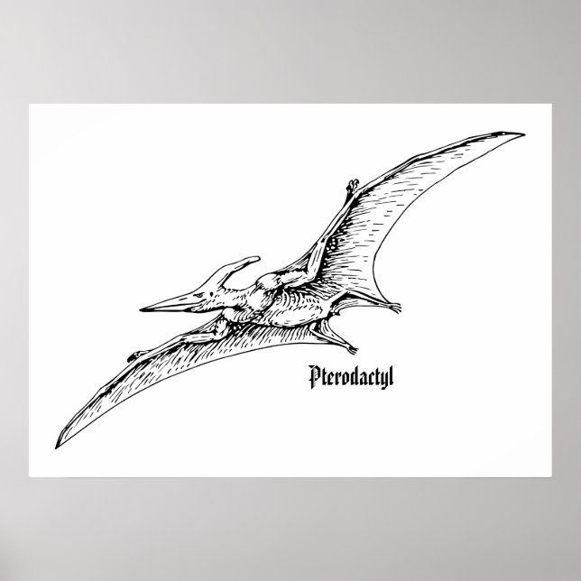 Flying dinosaur poster (Front)