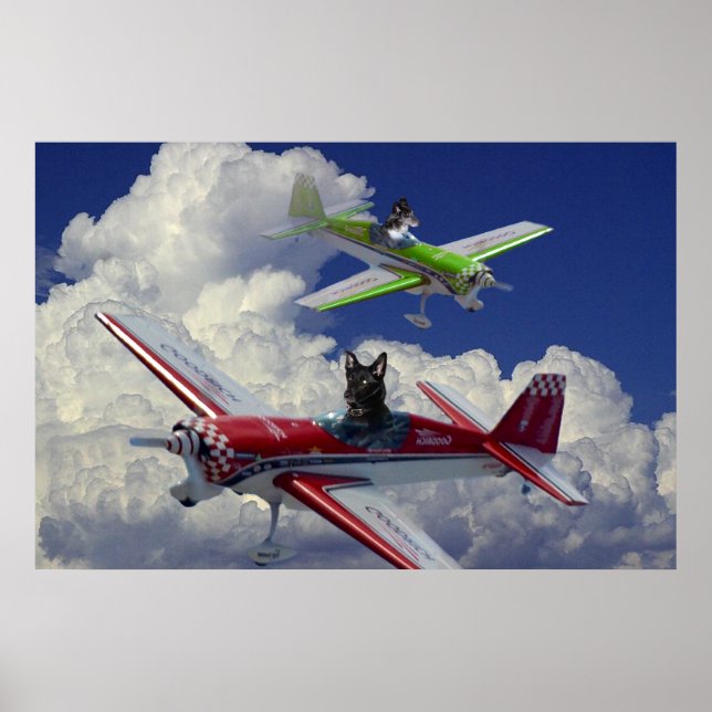 Flying dogs 5 poster (Front)