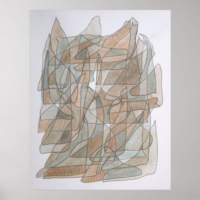 Flying Dolphin Poster (Front)