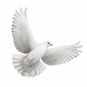 Flying Dove Ornament Photo Sculpture Decoration