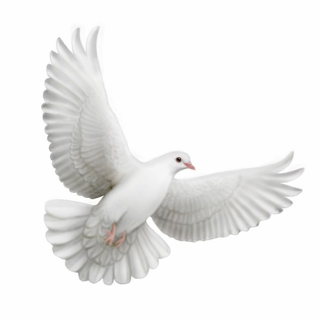 Flying Dove Ornament Photo Sculpture Decoration (Front)