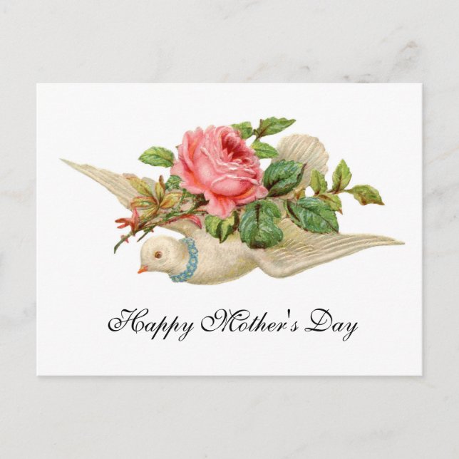 FLYING DOVE WITH PINK ROSE Mother's Day Postcard (Front)