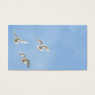 Flying doves