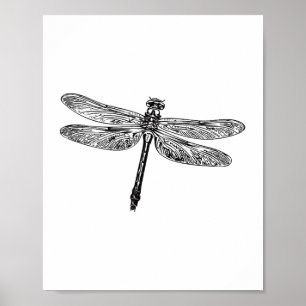 flying dragonfly poster