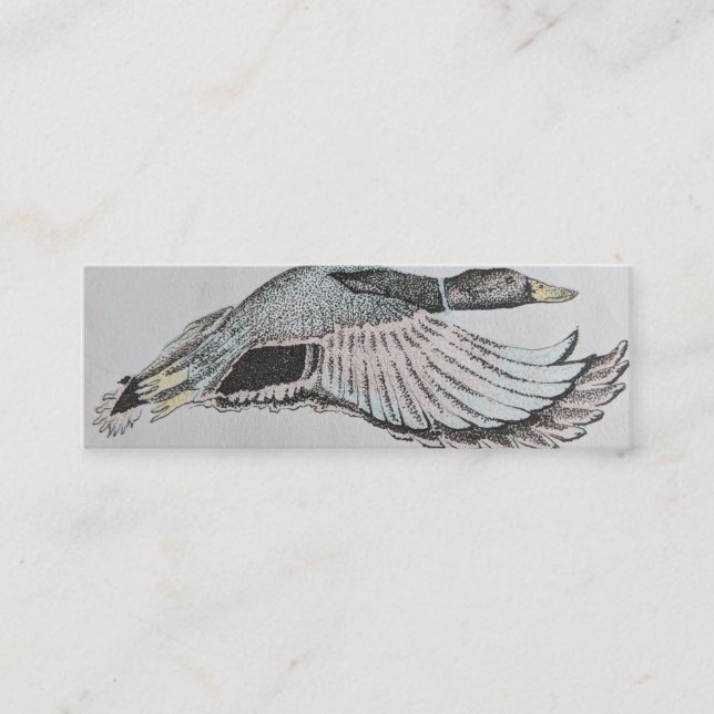 Flying duck business card, Mallard duck cards (Front)