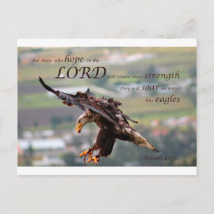 Flying Eagle Bible Verse.jpg Postcard