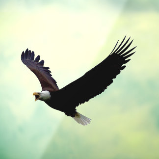 Flying Eagle Cut Out Window Cling