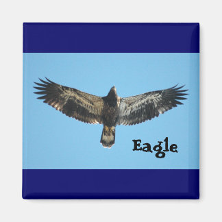 Flying Eagle Magnet