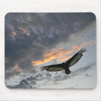 Flying Eagle Mouse Mat