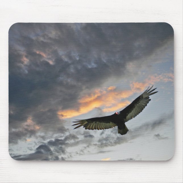 Flying Eagle Mouse Mat (Front)