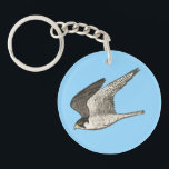 Flying Falcon Coloured Pencil art on blue Key Ring<br><div class="desc">This flying falcon is drawn in coloured pencil and looks cool on a keychain! Check out my shop for more, </div>