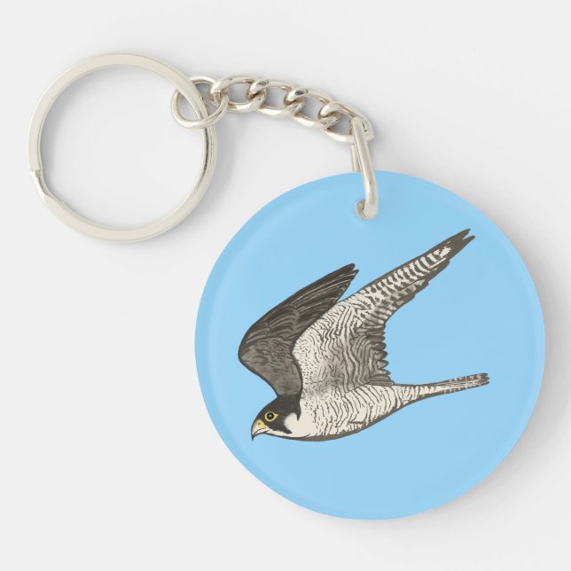 Flying Falcon Coloured Pencil art on blue Key Ring (Front)