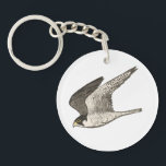 Flying Falcon Coloured Pencil art on white Key Ring<br><div class="desc">This flying falcon is drawn in coloured pencil and looks cool on a keychain! Check out my shop for more, </div>
