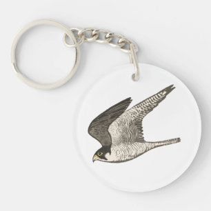 Flying Falcon Coloured Pencil art on white Key Ring