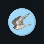 Flying Falcon on Blue Magnet<br><div class="desc">Check out this awesome coloured pencil illustration of a flying falcon. Check out my shop for more designs too!</div>