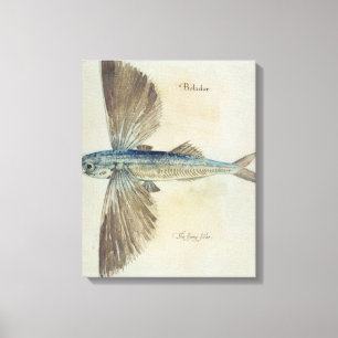 Flying-Fish Canvas Print