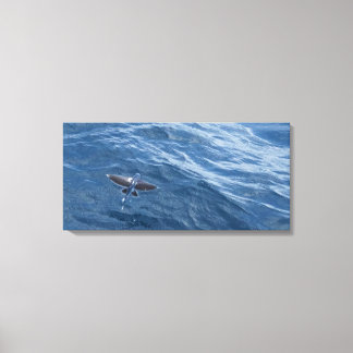 Flying Fish Canvas Print