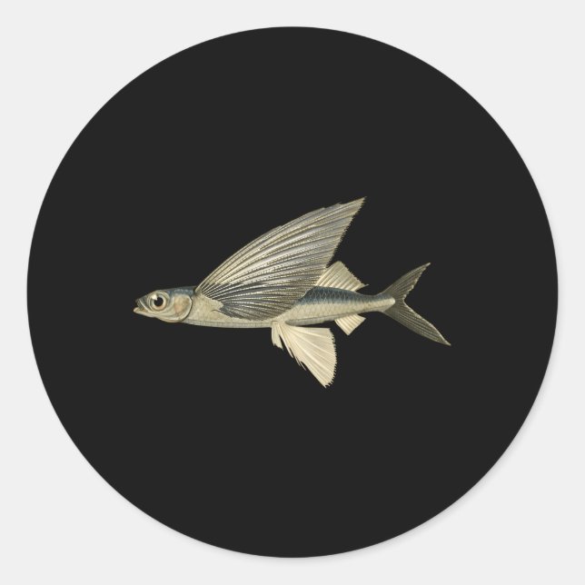 Flying Fish Flying Fish Classic Round Sticker (Front)