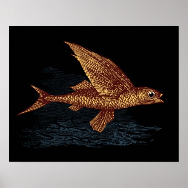 Flying Fish Poster (Front)